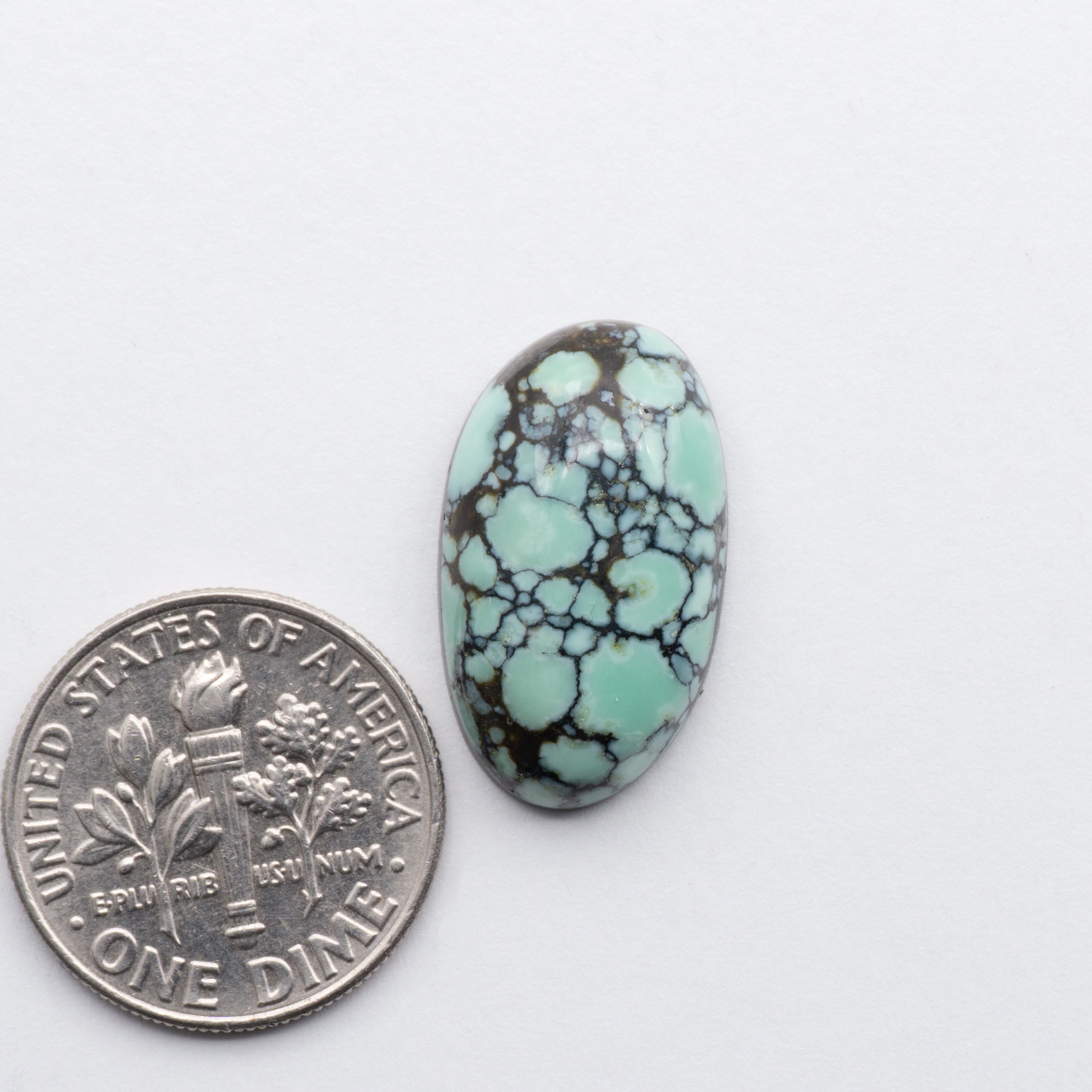 New Lander Variscite By CuttingEdgeTurquoise.com – Cutting Edge Turquoise