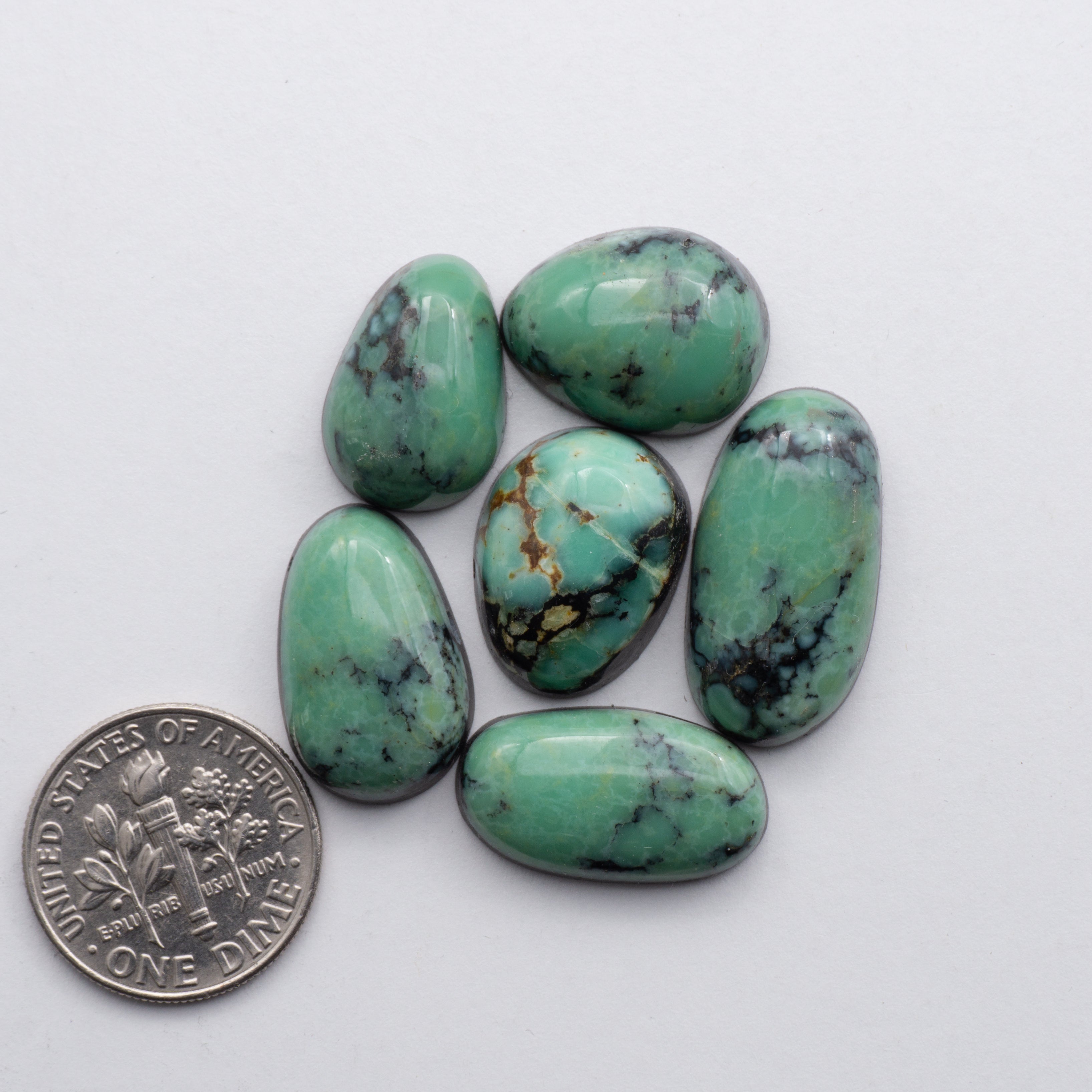 New Lander Variscite – Cutting Edge Turquoise