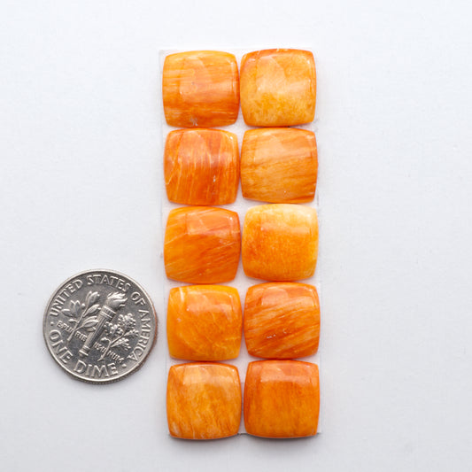 Add a unique, natural touch to your jewelry designs with our Orange Spiny Oyster Cabochons. 