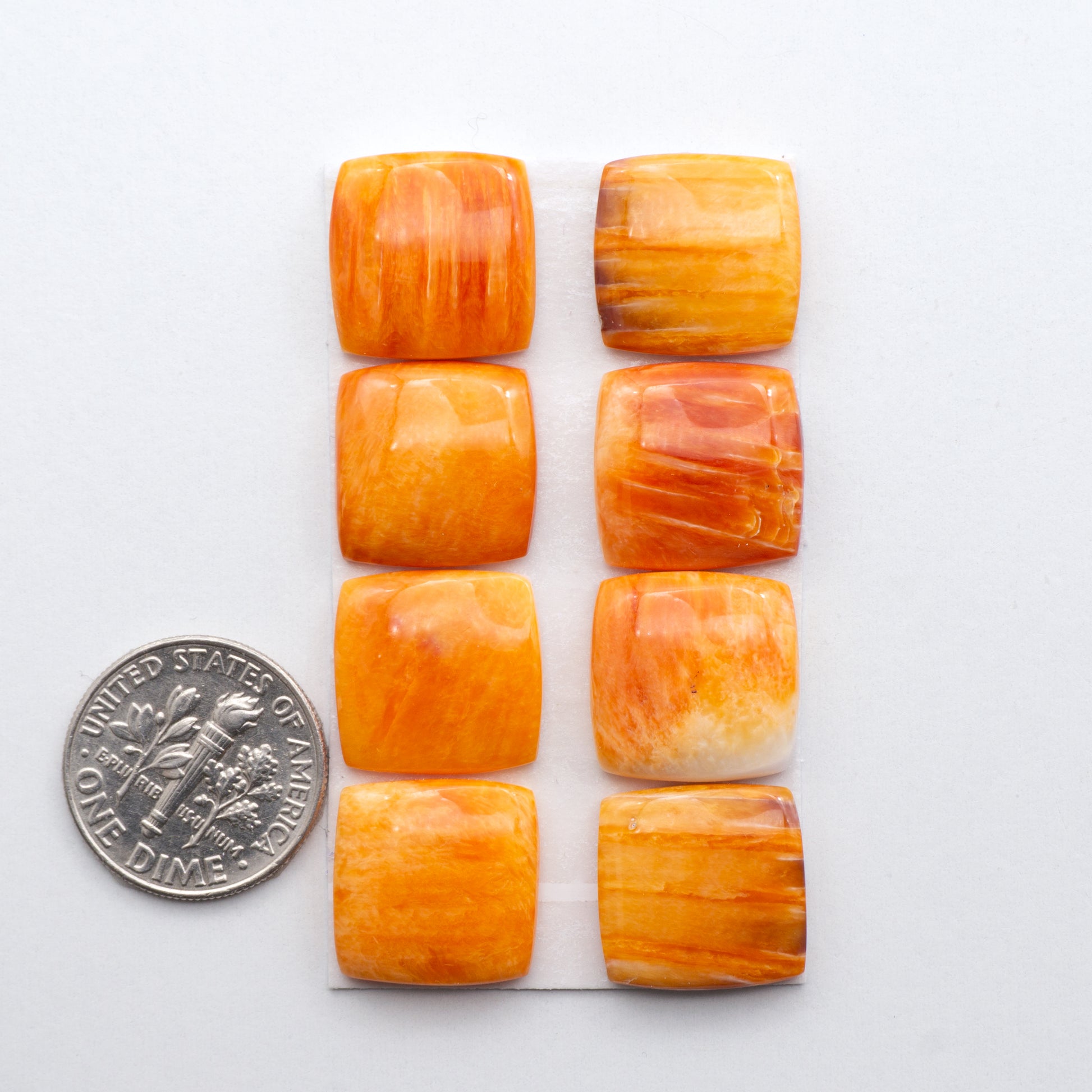 Add a unique, natural touch to your jewelry designs with our Orange Spiny Oyster Cabochons. 