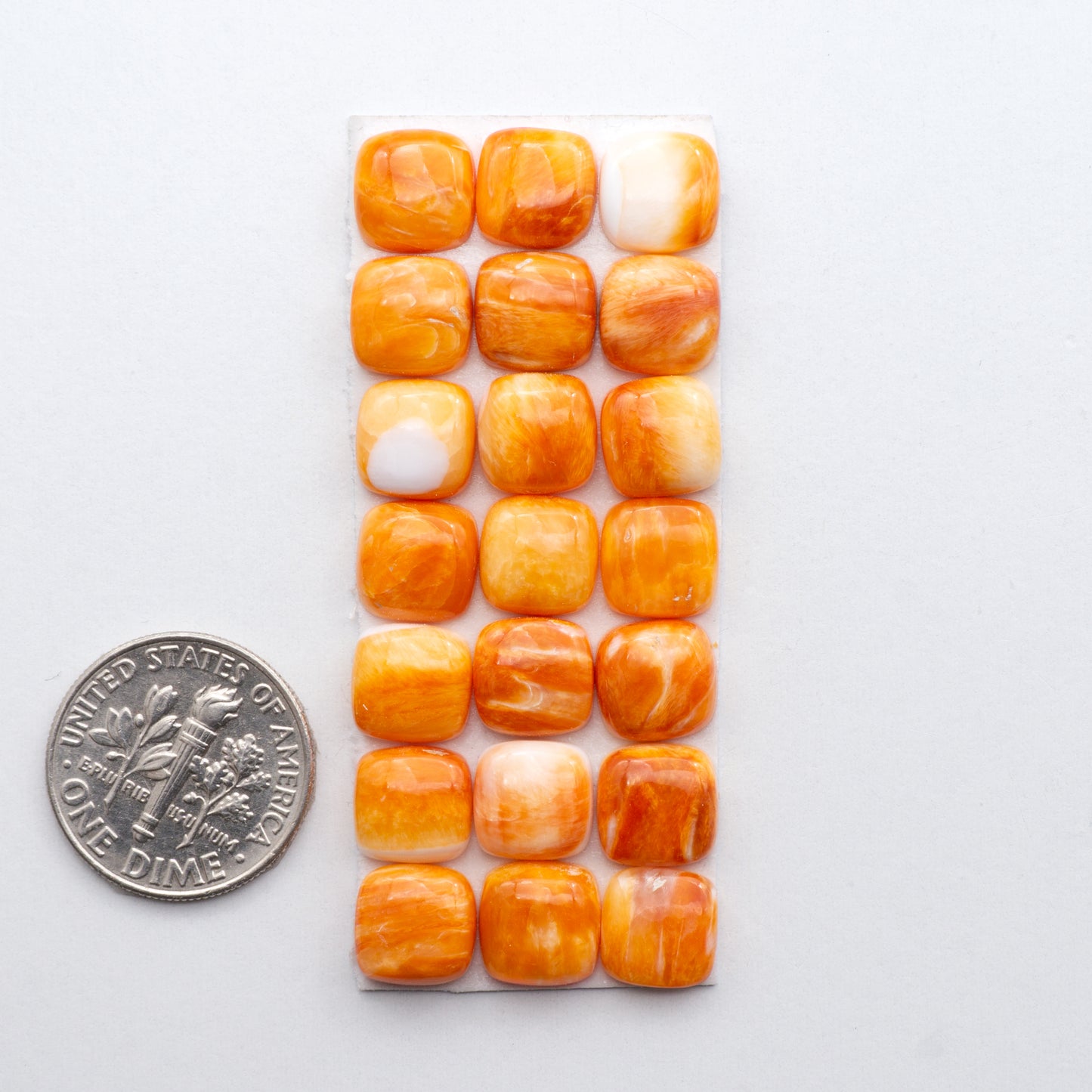 Add a unique, natural touch to your jewelry designs with our Orange Spiny Oyster Cabochons. 