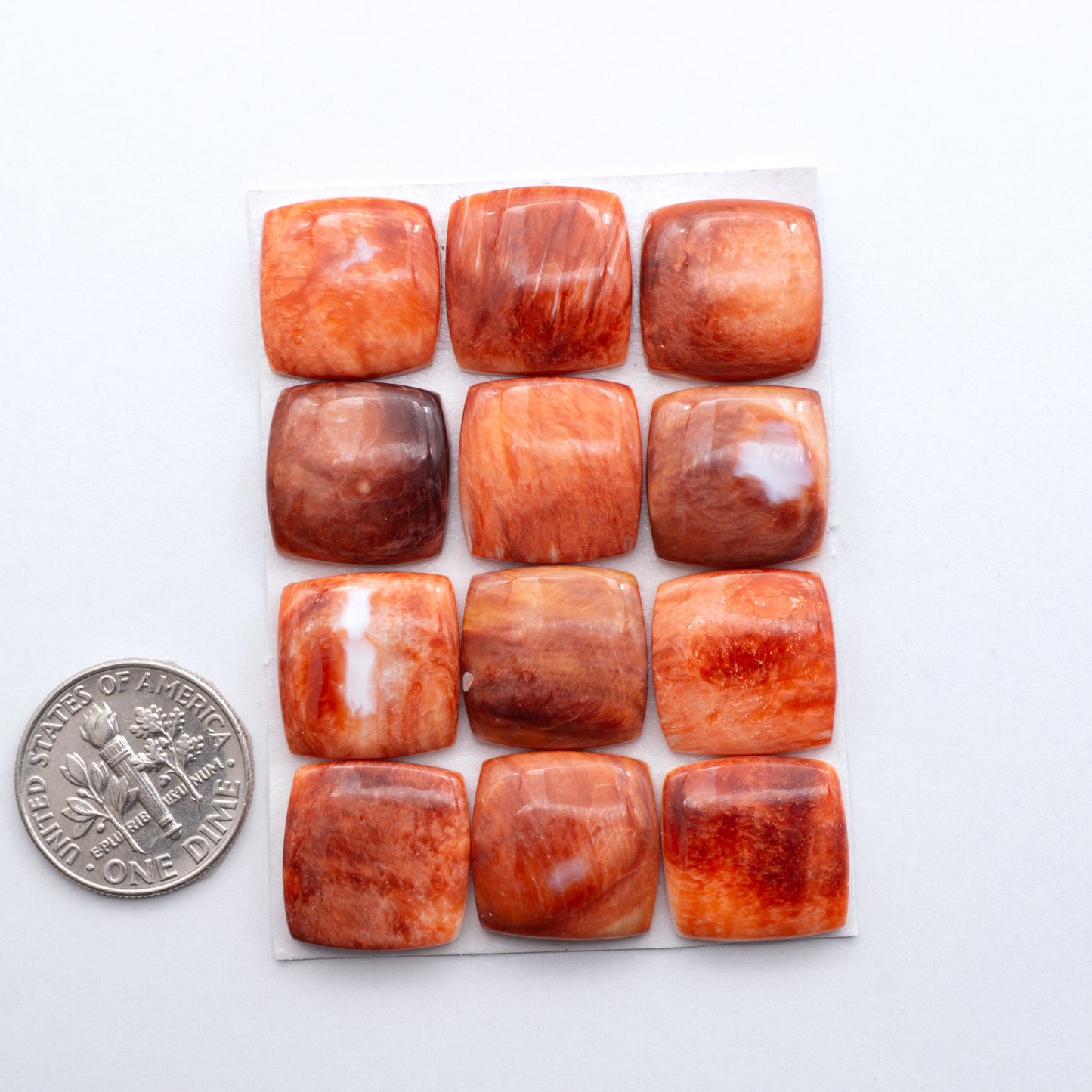 Add a unique, natural touch to your jewelry designs with our Red Spiny Oyster Cabochons. These beautiful cabochons are made from 100% natural spiny oyster shells.