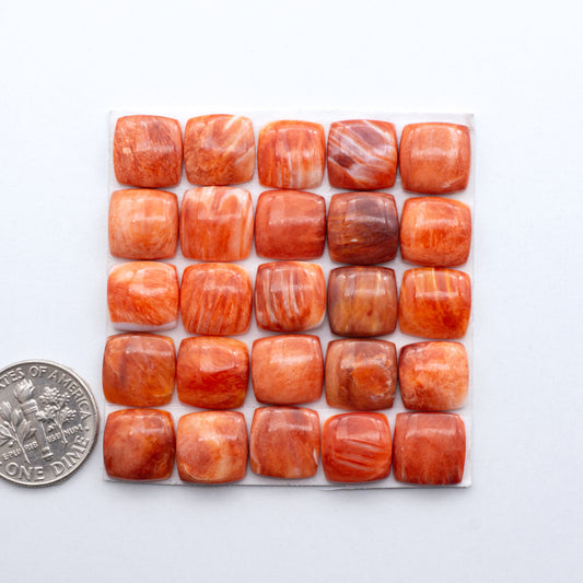 Add a unique, natural touch to your jewelry designs with our Red Spiny Oyster Cabochons. These beautiful cabochons are made from 100% natural spiny oyster shells.