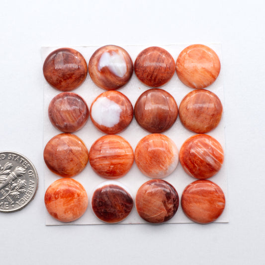 Add a unique, natural touch to your jewelry designs with our Red Spiny Oyster Cabochons.