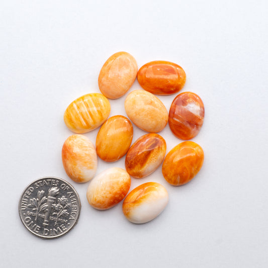 Add a unique, natural touch to your jewelry designs with our Orange Spiny Oyster Cabochons. 