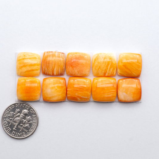 Add a unique, natural touch to your jewelry designs with our Orange Spiny Oyster Cabochons. 