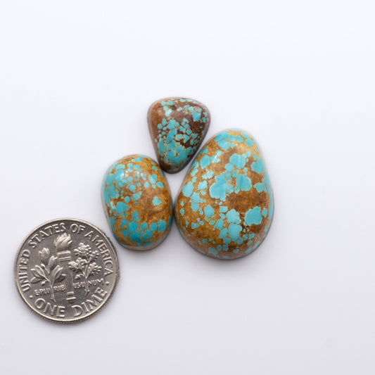 Number 8 Turquoise Cabochons have been carefully selected for their quality and unique appearance.