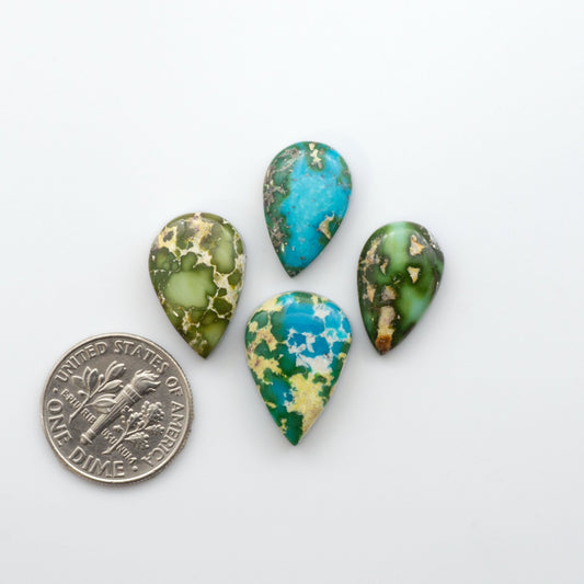 Discover the unique beauty of Sonoran Mountain Turquoise. This rare gemstone showcases a stunning blend of blue and green hues.