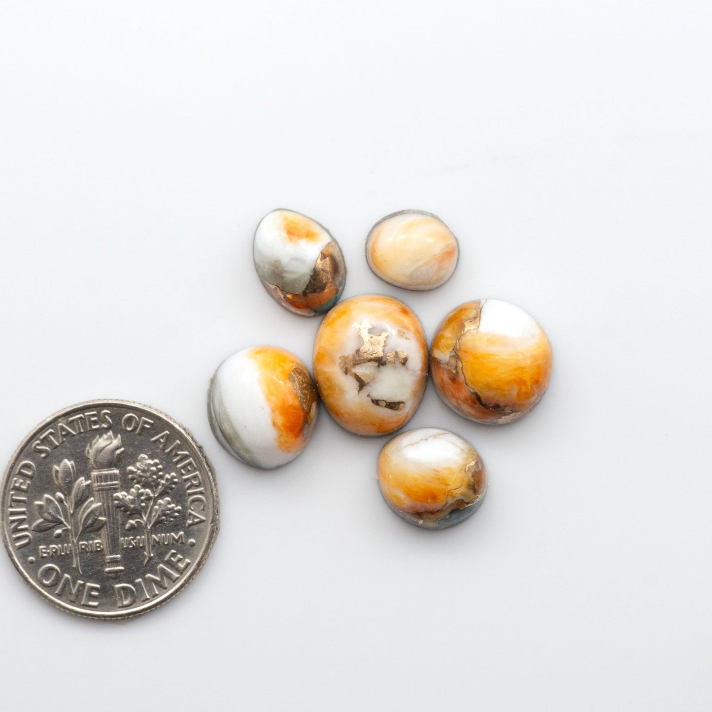 These Spiny Kingman Cabochons are perfect for any jewelry making project. With their unique and intricate patterns, they add a touch of elegance and sophistication to any design