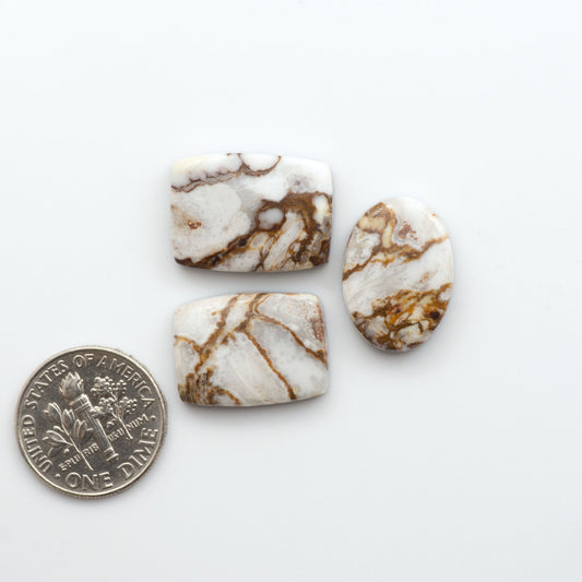 This stunning Wild Horse Cabochon lot is a magnificent addition to any collection.&nbsp;These natural magnesite stones&nbsp;feature an intricate design that will instantly add beauty and sophistication to any jewelry design