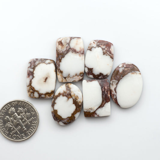 This stunning Wild Horse Cabochon lot is a magnificent addition to any collection.&nbsp;These natural magnesite stones&nbsp;feature an intricate design that will instantly add beauty and sophistication to any jewelry design