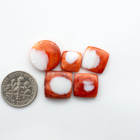 Add a unique, natural touch to your jewelry designs with our Orange Spiny Oyster Cabochons. These beautiful cabochons are made from 100% natural spiny oyster shells