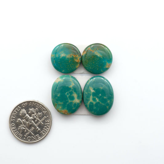 Experience the beauty of our stunning Turquoise Mountain Cabochons. With their distinctive blue and green color, these cabochons are perfect for adding a touch of natural elegance to any jewelry piece.