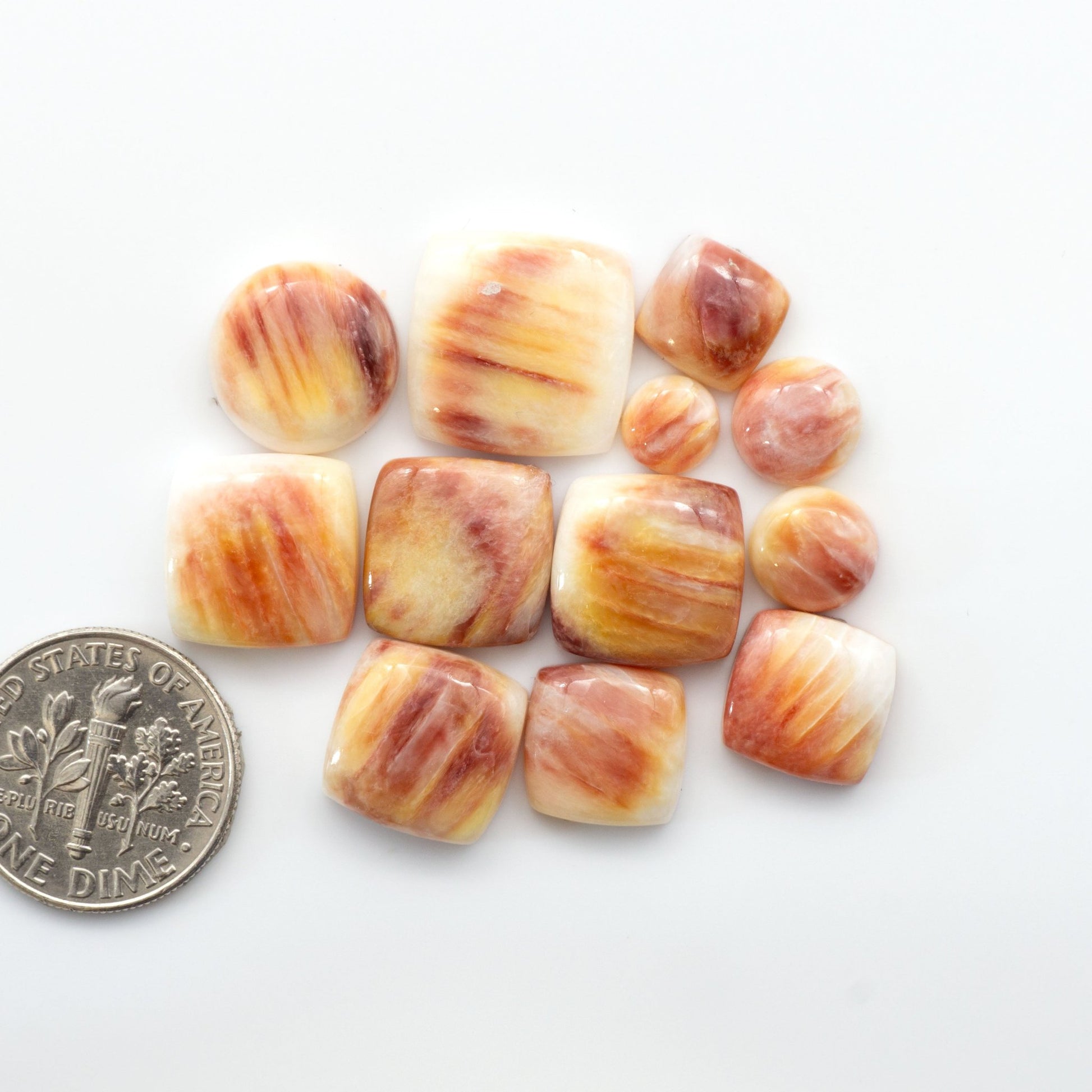 Add a unique, natural touch to your jewelry designs with our Spiny Oyster Cabochons.