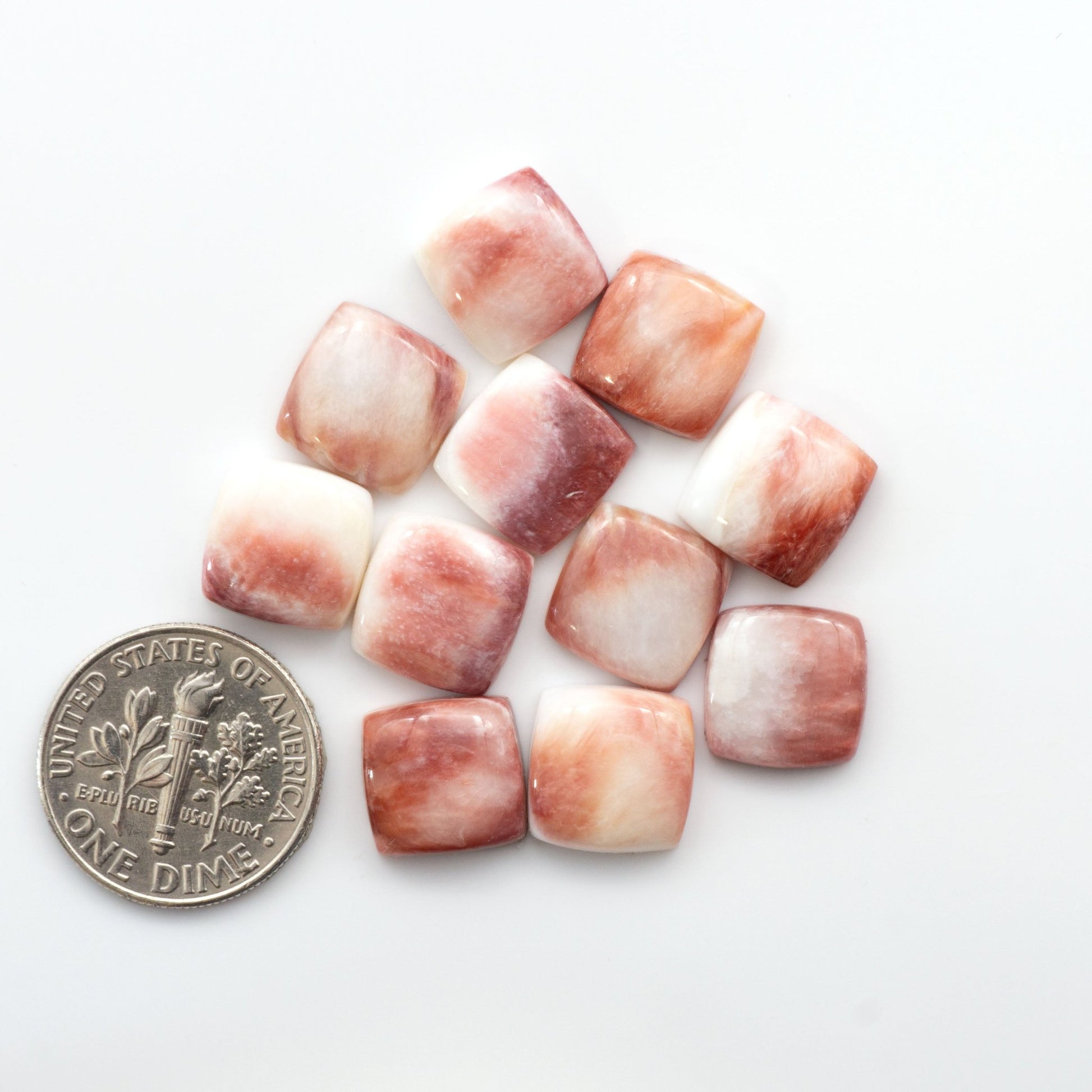 Add a unique, natural touch to your jewelry designs with our Spiny Oyster Cabochons.