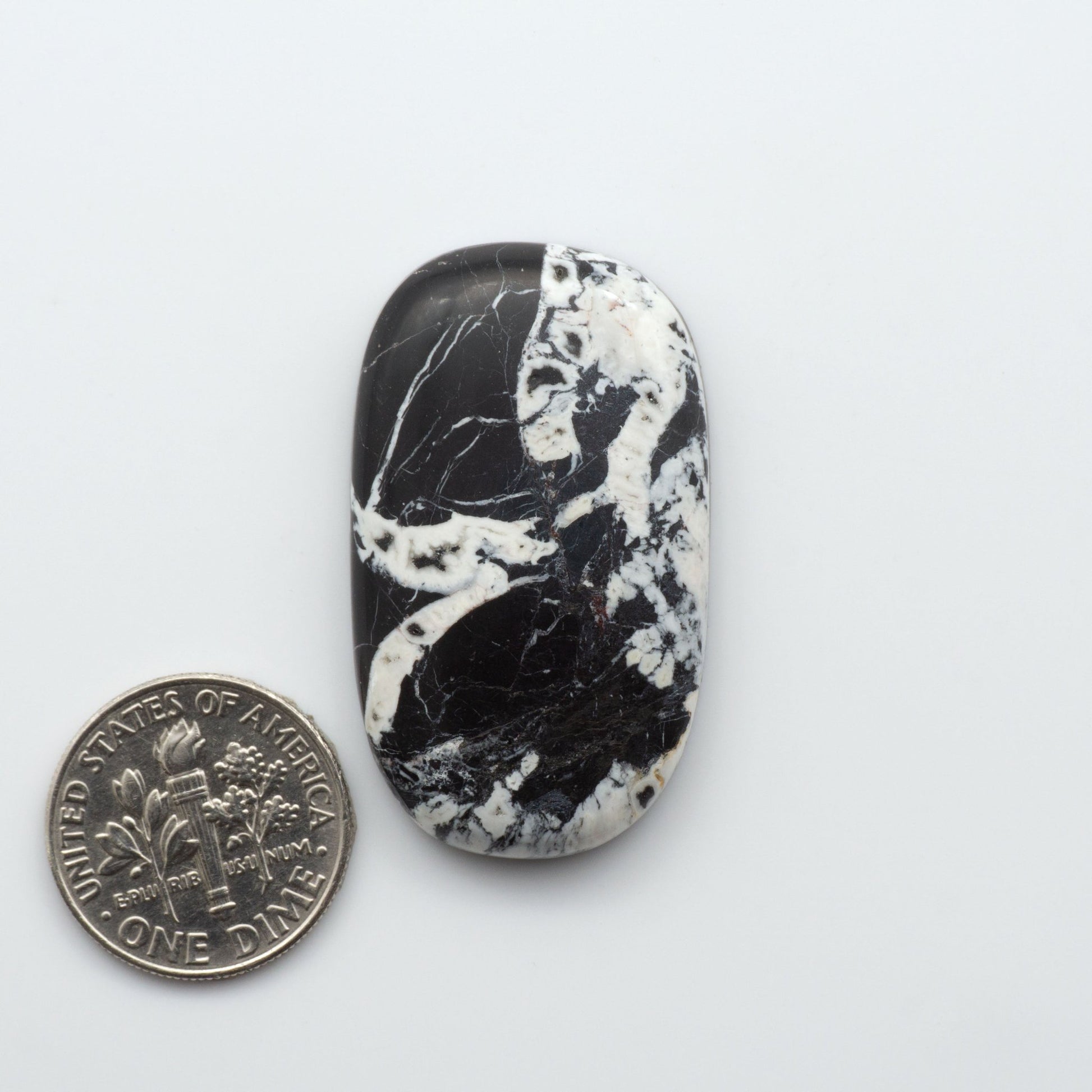 These Natural White Buffalo Stone Cabochons are semi-precious gemstones cut into shapes ideal for jewelry-making and crafting 