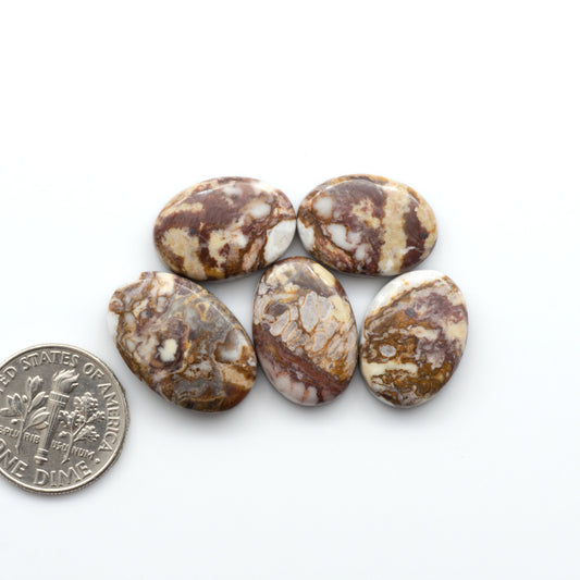 This Wild Horse Cabochon lot is a magnificent addition to any collection. Natural magnesite stones feature a design that will add beauty to any jewelry design.