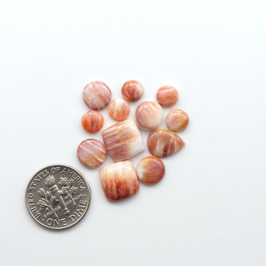 Add a unique touch to your jewelry designs with our beautiful 100% Natural Spiny Oyster Shell Cabochons. Incorporate the beauty of the sea into your creations.