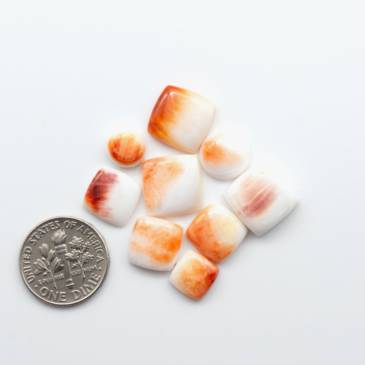 Add a unique touch to your jewelry designs with our beautiful 100% Natural Spiny Oyster Shell Cabochons. Incorporate the beauty of the sea into your creations.