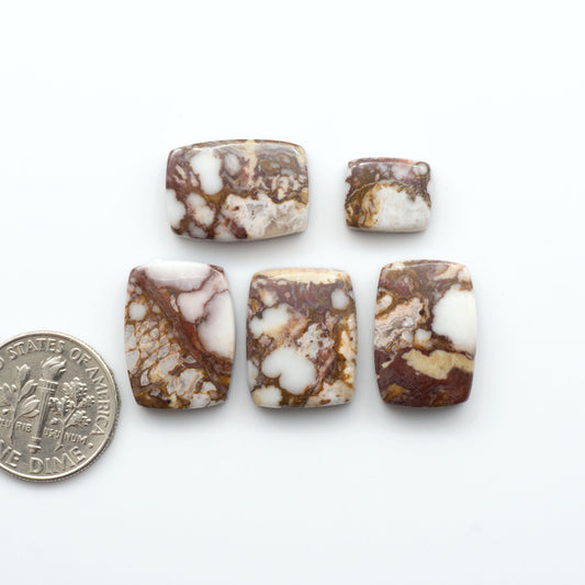 Wild Horse Cabochon are a magnificent addition to any collection. Natural magnesite stones feature a design that will add beauty to any jewelry design.