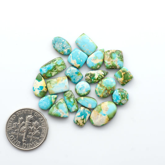 Sonoran Mountain Turquoise