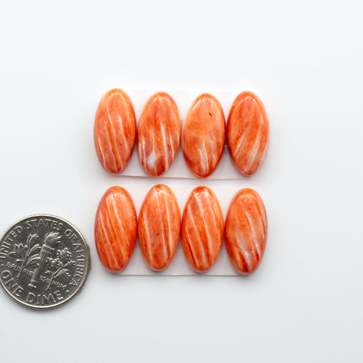 Add a unique touch to your jewelry designs with our beautiful 100% Natural Spiny Oyster Shell Cabochons. Incorporate the beauty of the sea into your creations.