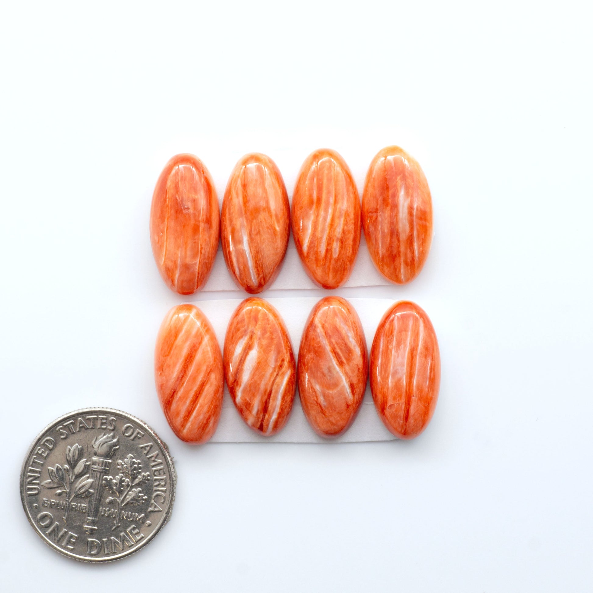 Add a unique touch to your jewelry designs with our beautiful 100% Natural Spiny Oyster Shell Cabochons. Incorporate the beauty of the sea into your creations.