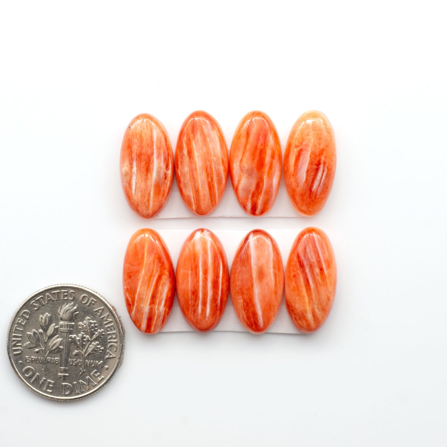 Add a unique touch to your jewelry designs with our beautiful 100% Natural Spiny Oyster Shell Cabochons. Incorporate the beauty of the sea into your creations.