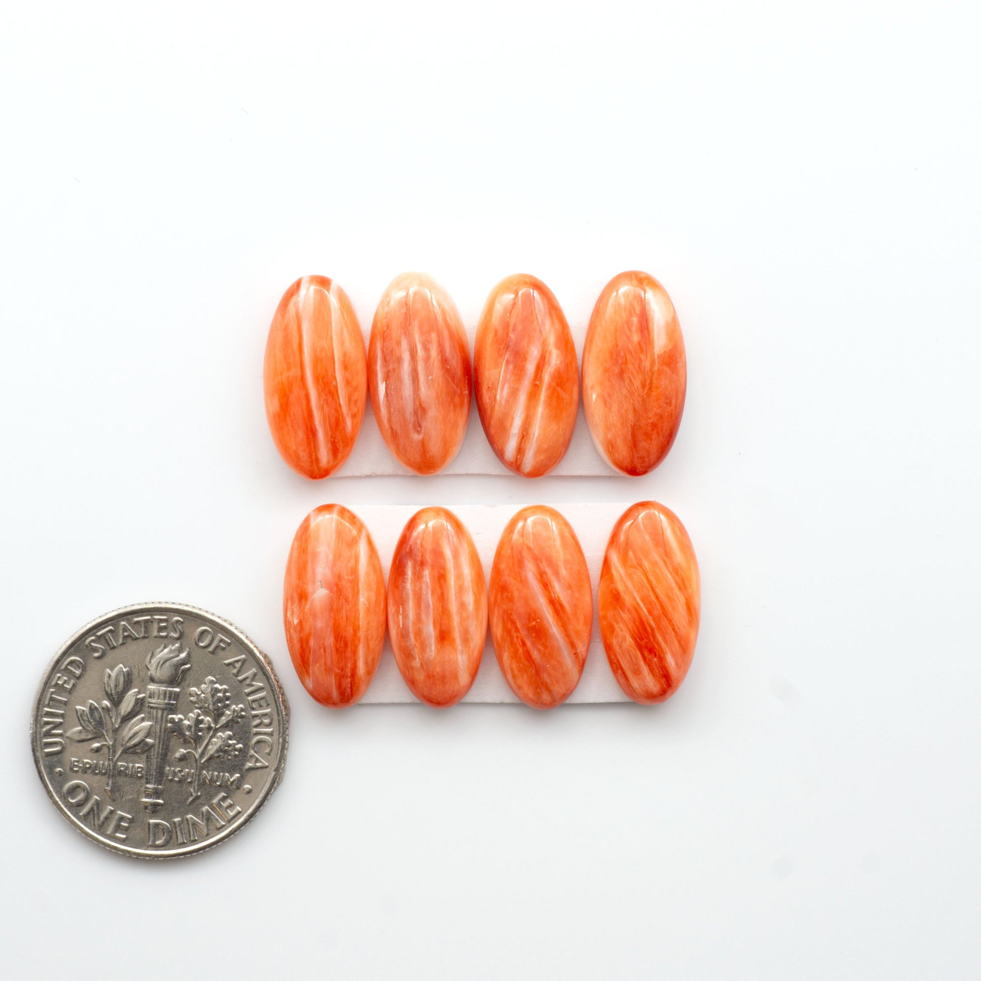 Add a unique touch to your jewelry designs with our beautiful 100% Natural Spiny Oyster Shell Cabochons. Incorporate the beauty of the sea into your creations.