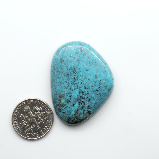 Nacozari turquoise cabochons are striking gemstones known for their vibrant blue to greenish-blue colors and pyrite, these stones are prized in jewelry making.